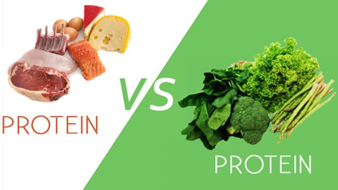 protein medium