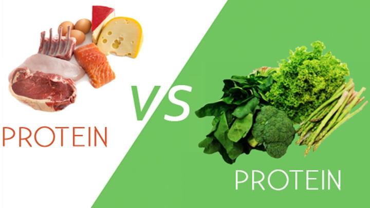 protein small