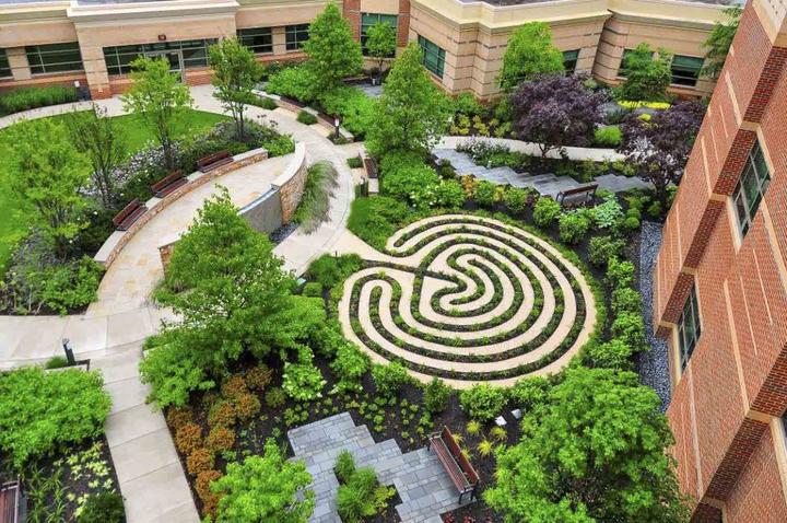 Therapeutic Landscape