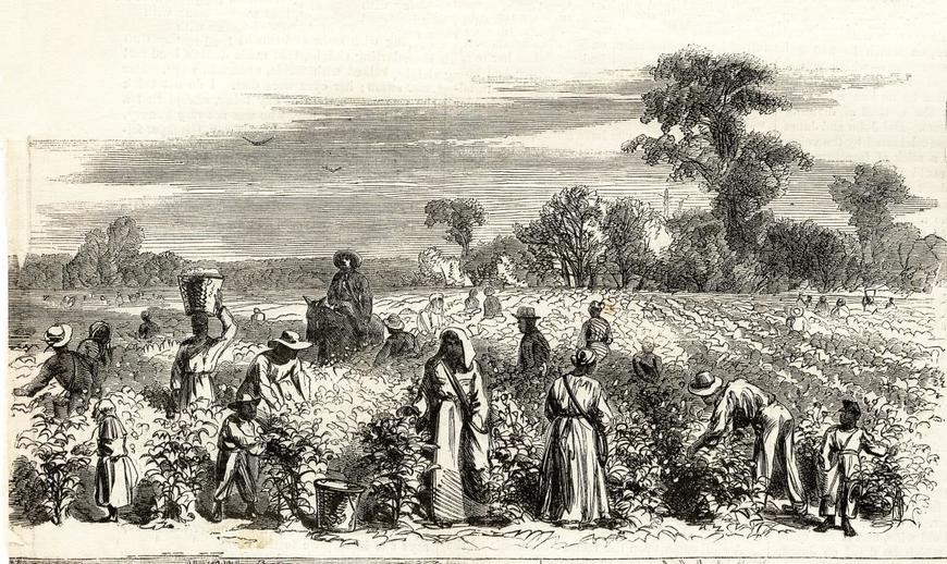 female slave large
