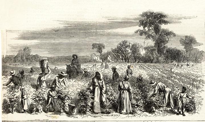 female slave small