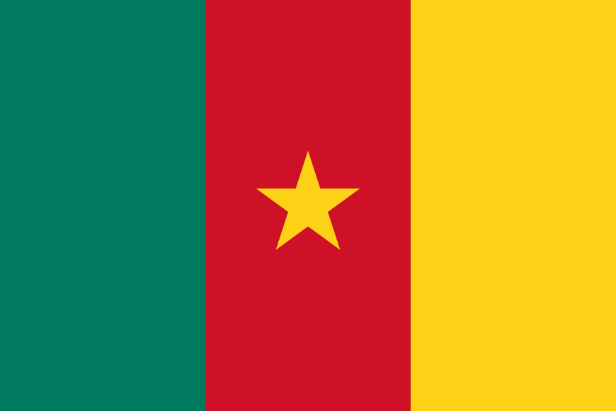Flag of Cameroon large