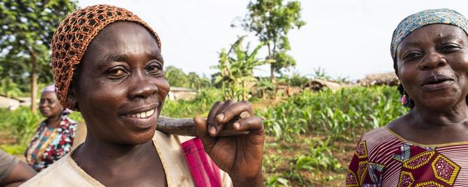 Agricultural sector in Cameroon medium
