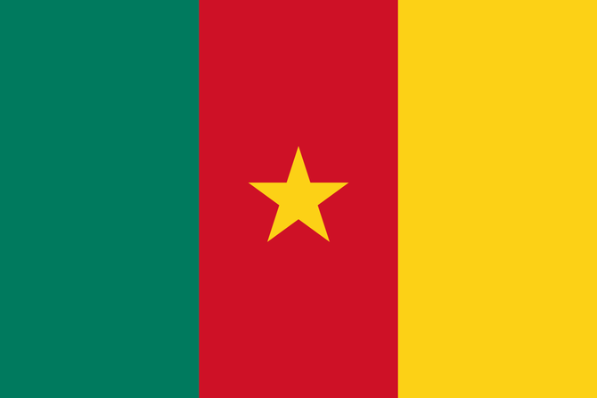 Flag of Cameroon medium