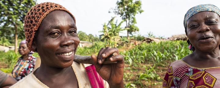 Agricultural sector in Cameroon small