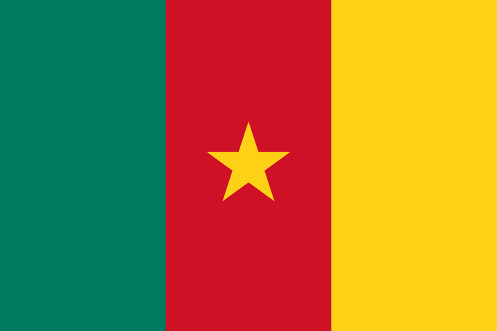 Flag of Cameroon small
