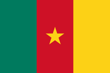 Flag of Cameroon extra small