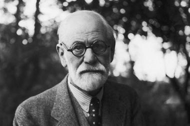 Freud sublimation extra small