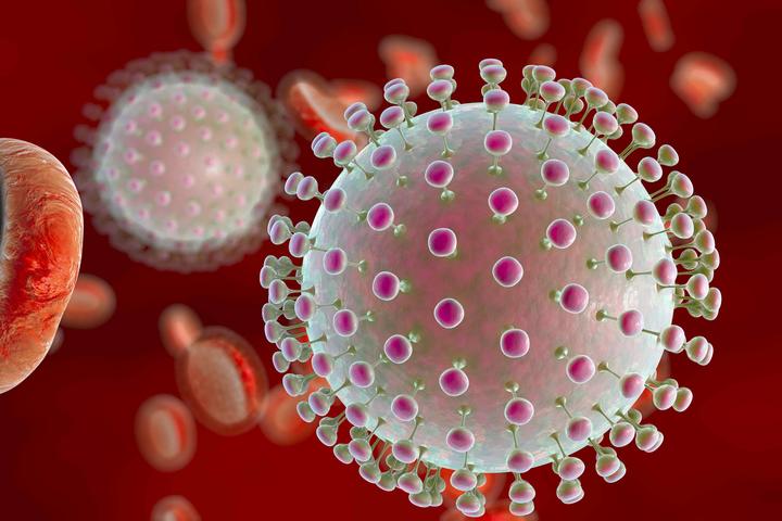 Zika Virus in Florida small