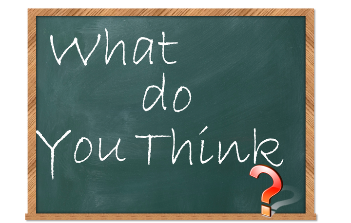 the aim of an opinion essay small